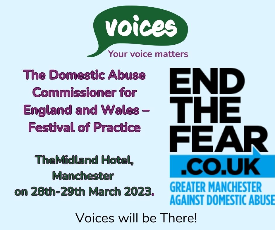 The Domestic Abuse Commissioner's Festival of Practice