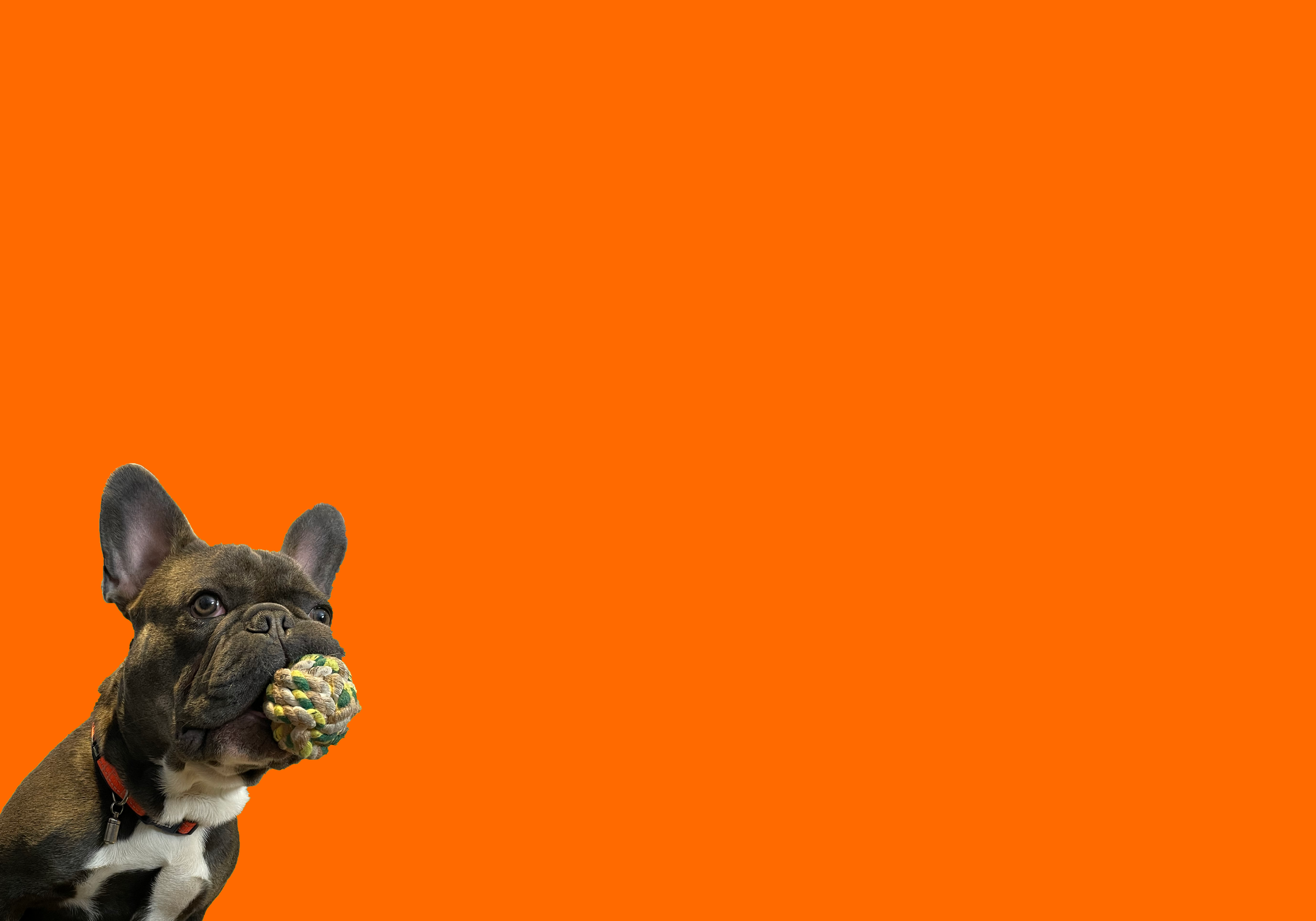 Delivered Social (3000 × 2100 px) (1)